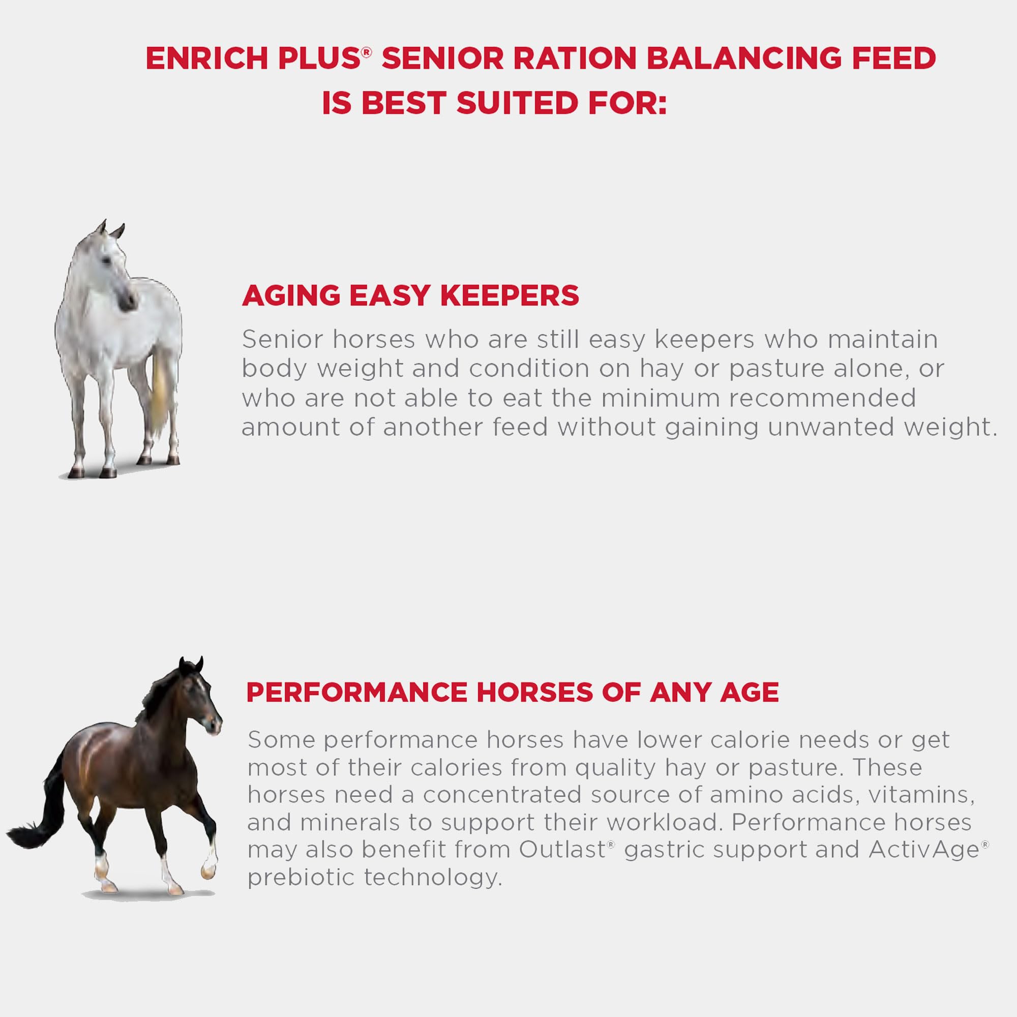 Purina | Enrich Plus Senior Ration Balancing Horse Feed | 50 Pound (50 LB) Bag - Image 6