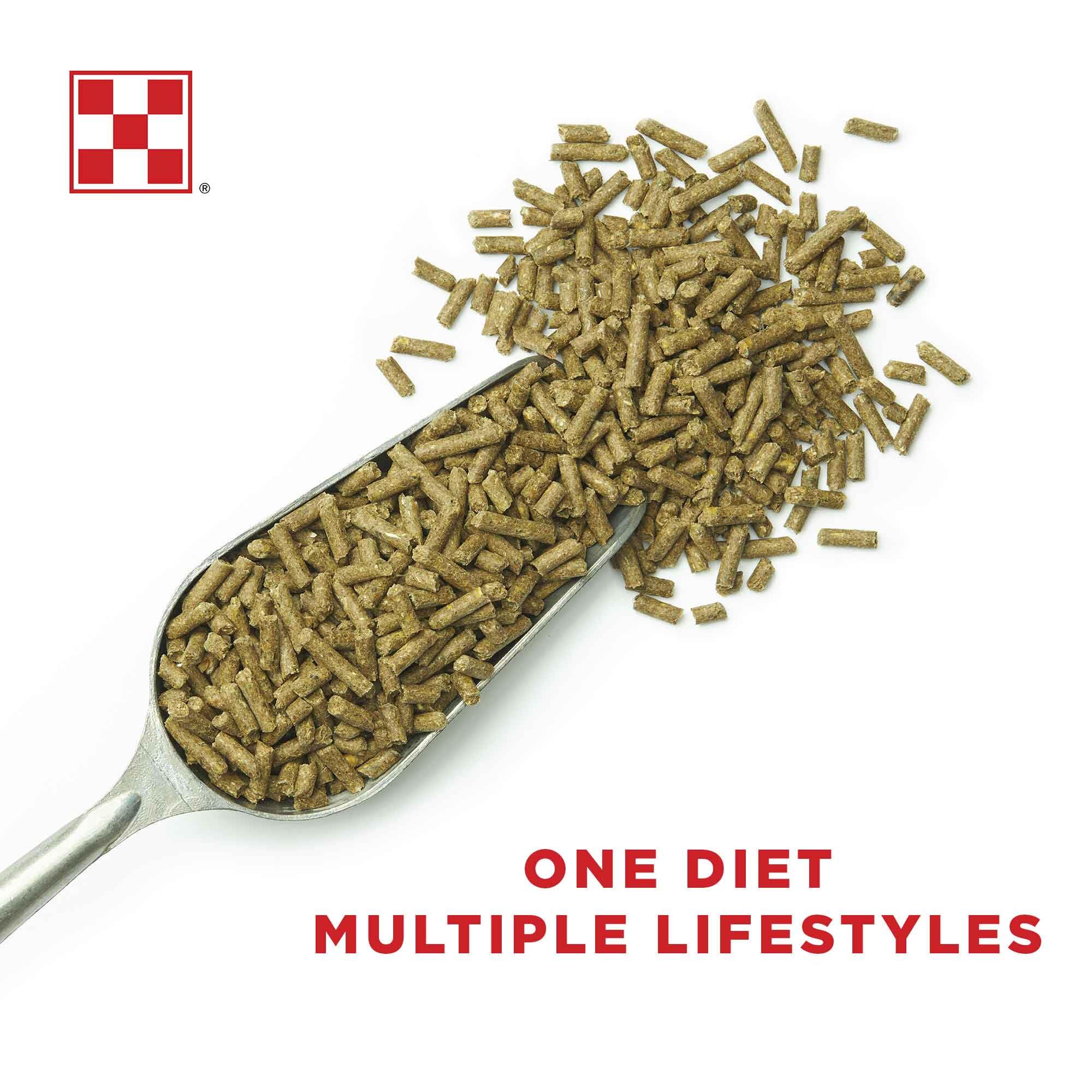 Waggin' Train Strategy Professional Formula GX - Image 8